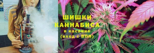 винт Абаза